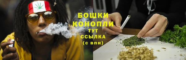 каннабис Богданович