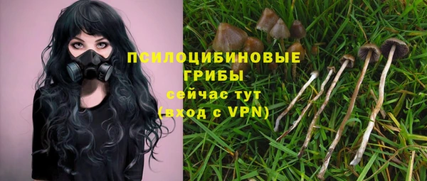 ALPHA-PVP Богородицк
