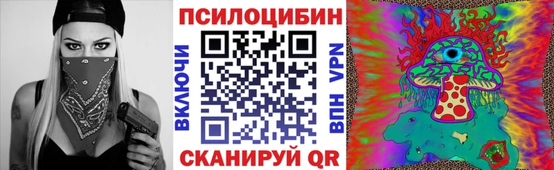 Галлюциногенные грибы Psilocybe  дарк нет какой сайт  Новоузенск 
