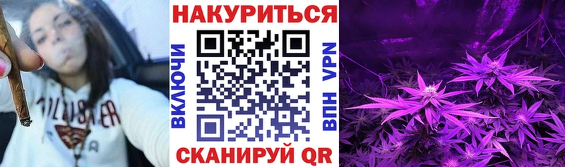 МАРИХУАНА сатива  Новоузенск 